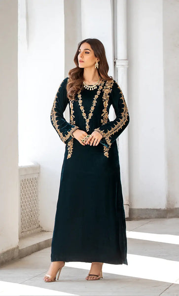 embroidered velvet dress zara Zara – Ameerah Usman
